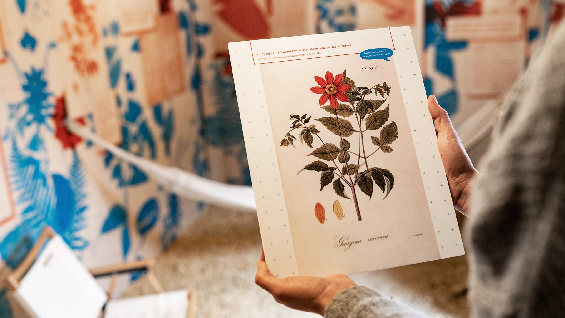 Detail der Ausstellung ,Wie Wissen wächst. Alexander von Humboldt und die Wurzeln der Wissensproduktion' im Botanischen Garten Berlin, Studio Neue Museen