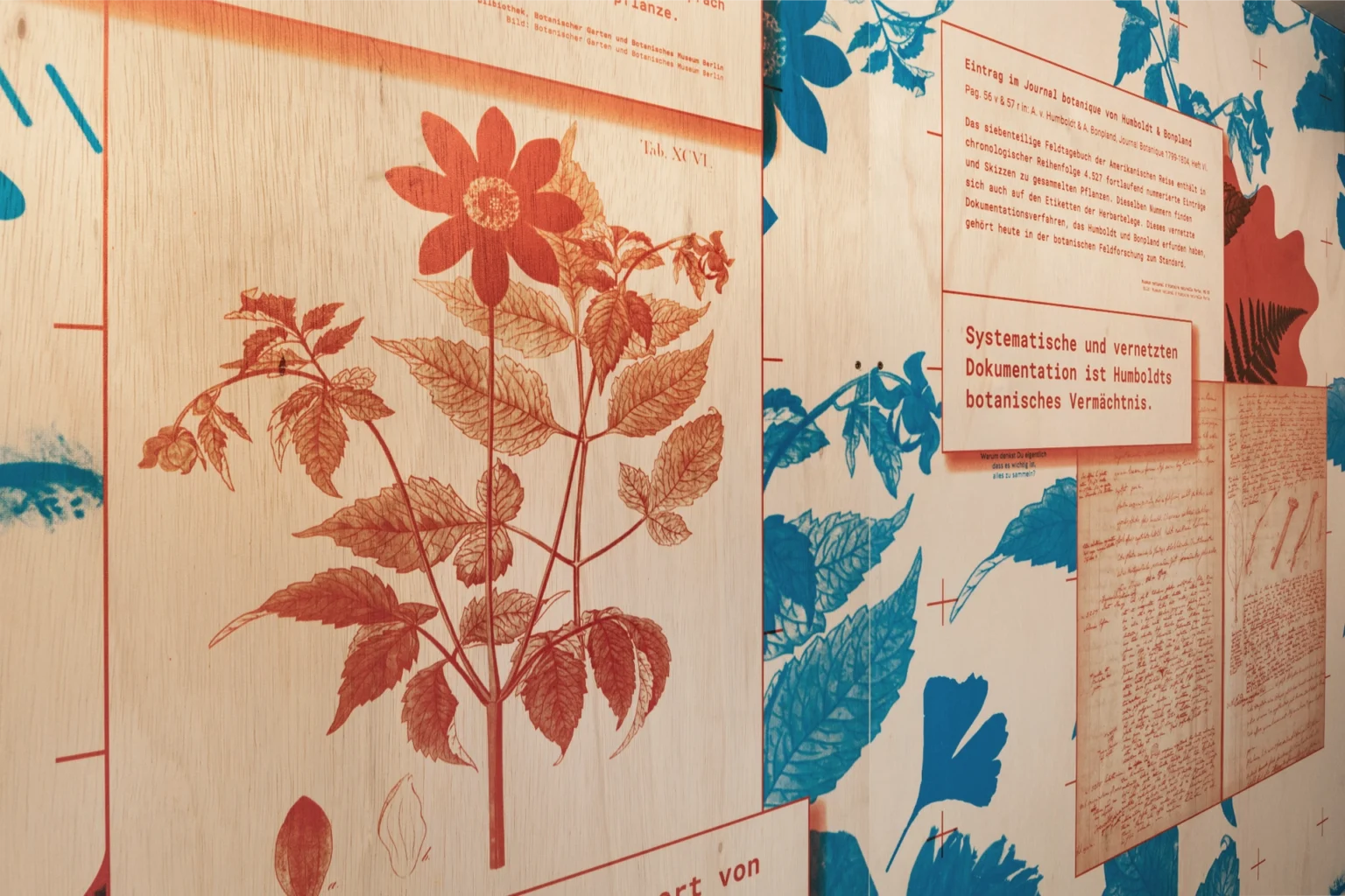 Detail der Ausstellung ,Wie Wissen wächst. Alexander von Humboldt und die Wurzeln der Wissensproduktion' im Botanischen Garten Berlin, Studio Neue Museen